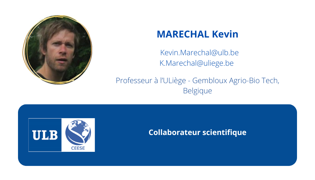 Carte de visite Kevin Maréchal